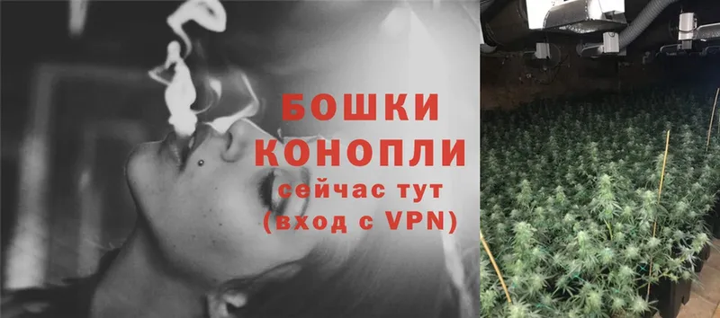 купить закладку  Кисловодск  мега сайт  Бошки марихуана SATIVA & INDICA 